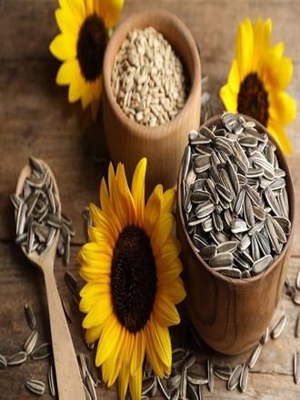 Bulk Seeds