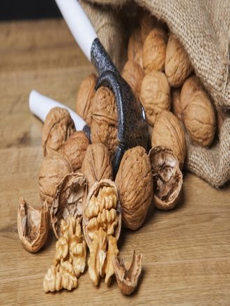 Walnut