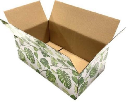 Printed Corrugated Box